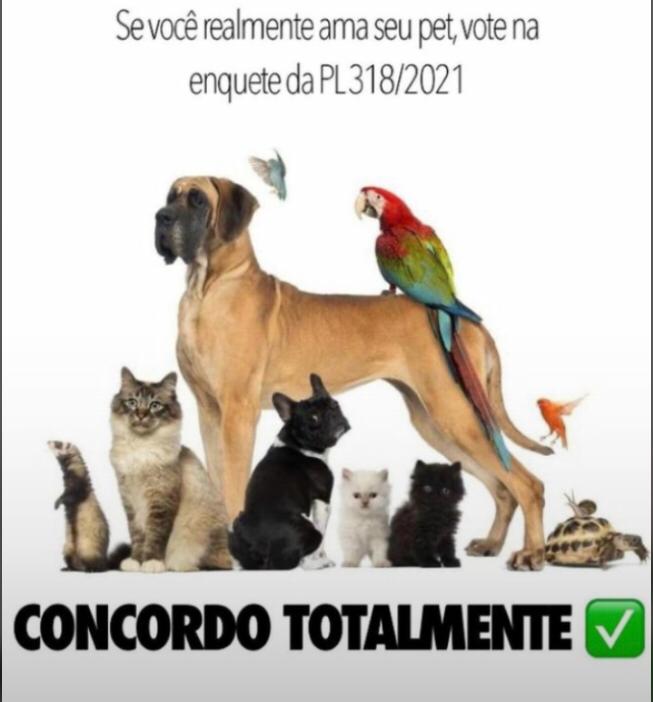 WhatsApp-Image-2021-02-26-at-08-55-05.jpeg (41 KB)
