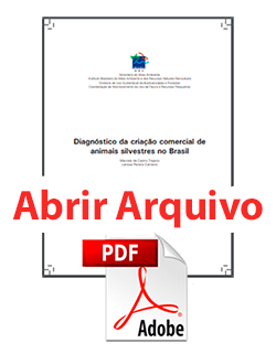 abrir-arquivo.png (24 KB)